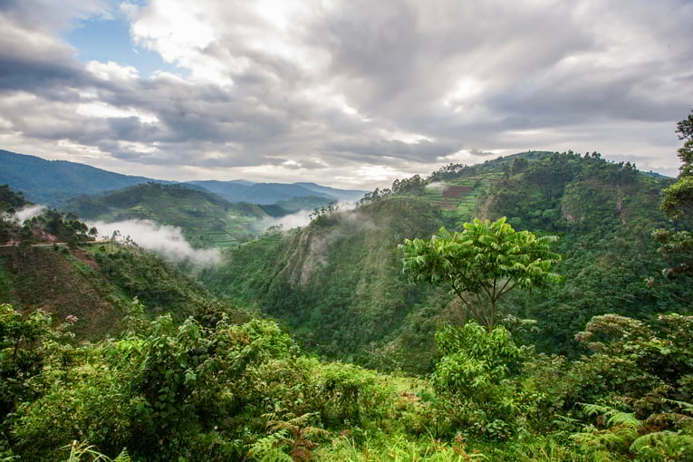 Dovolená v Ugandě – zážitky na míru | Exclusive Toursshutterstock_457165009