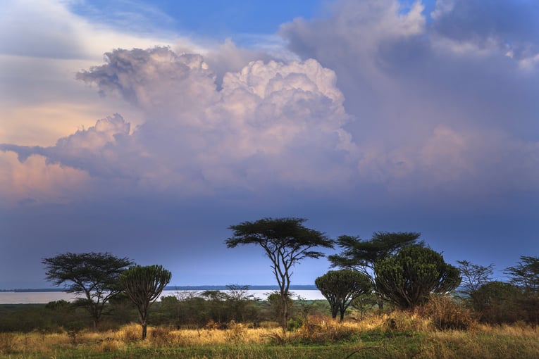 Dovolená v Ugandě – zážitky na míru | Exclusive Toursshutterstock_628670117