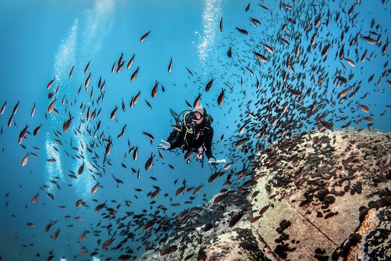 Eagles Palace eagles-resort-scuba-diving1
