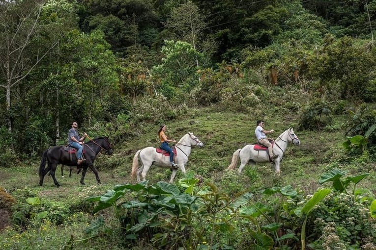 El Silencio Lodge & Spa Kostarika file