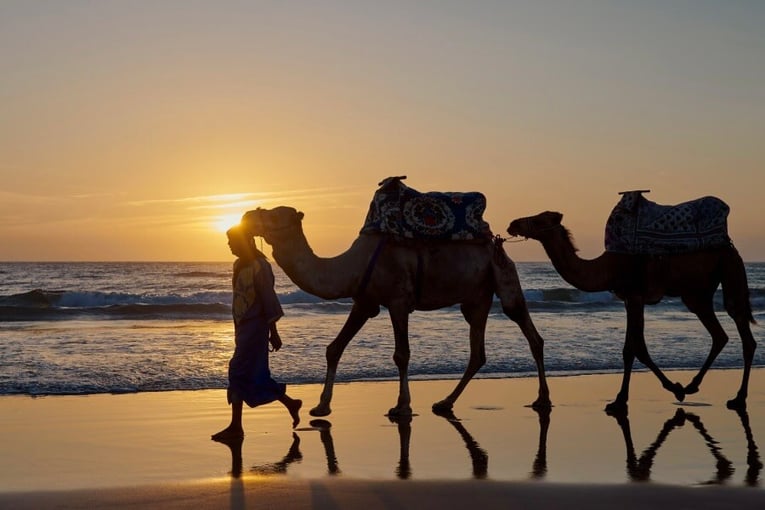 Fairmont Taghazout Bay, Maroko  Taghazout a217c8f4-5641-4005-bd83-ce24c84b8c0e