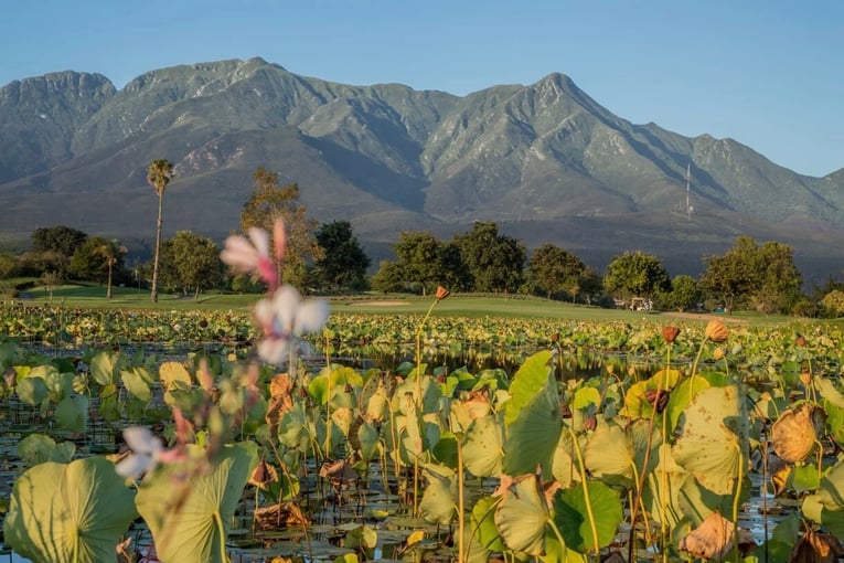 Fancourt Hotel, Jihoafrická republika – George | Exclusive Tours Fancourt-view-0b8ce078