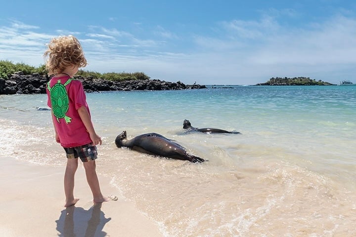 Finch Bay Galapagos Hotel, Galapágy girl-sea-lion-alemanes-beach