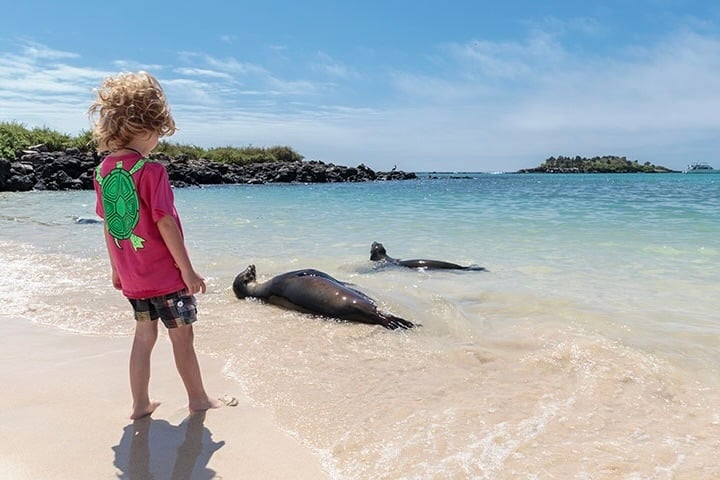 Finch Bay Galapagos Hotel, Galapágy girl-sea-lion-alemanes-beach