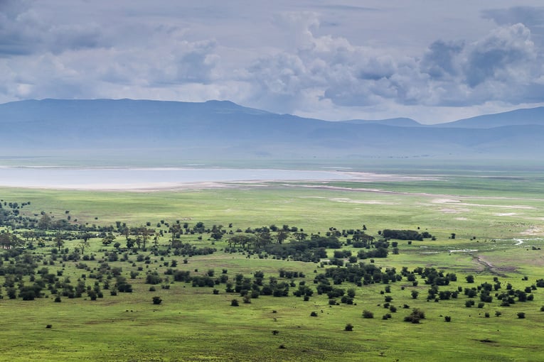 Gibbs Farm Gibbs-Farm-Ngorongoro-Crater-1