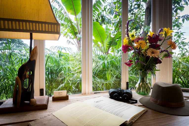 Gibbs Farm Gibbs-Farm-cottage-desk-with-a-view