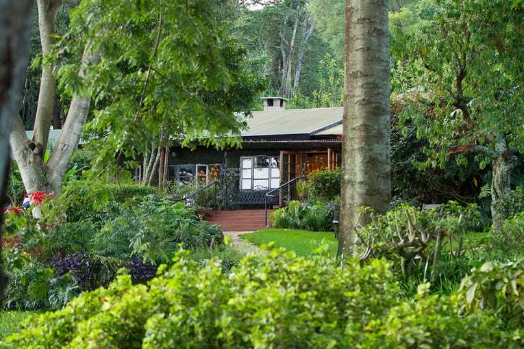 Gibbs Farm Gibbs-Farm-cottage-garden