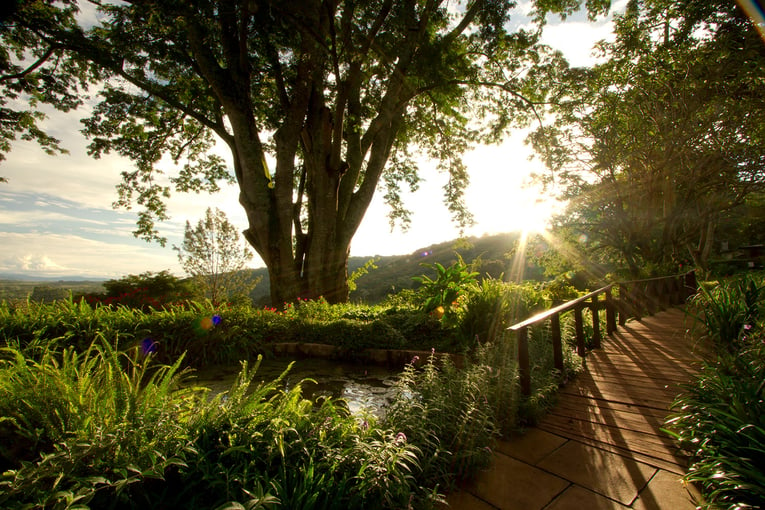 Gibbs Farm Gibbs-Farm-pathway-and-bridge