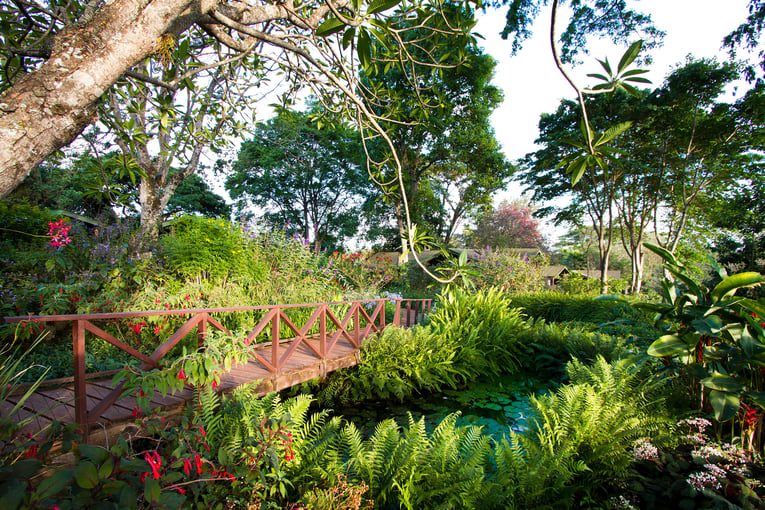 Gibbs Farm Gibbs-Farm-tropical-gardens