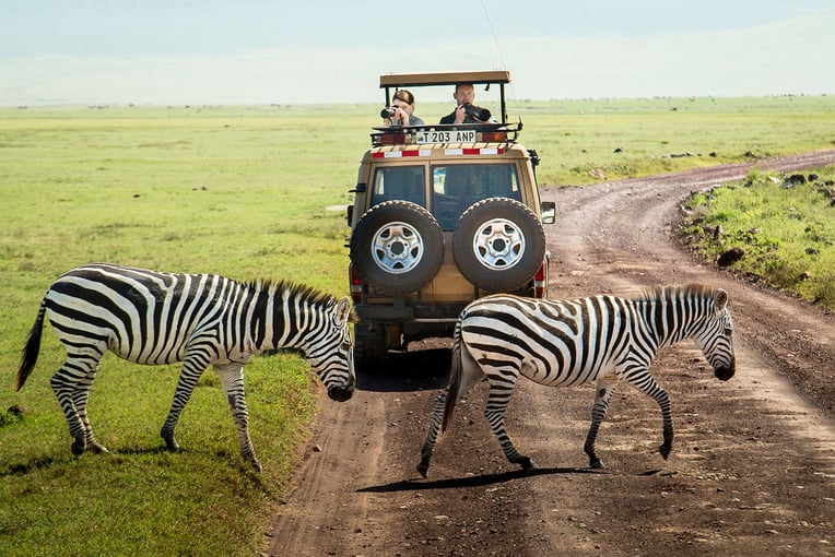 Gibbs Farm Gibbs-Farm-zebra-crossing