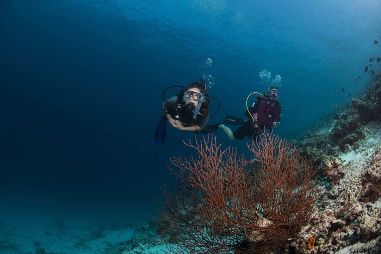 Gili Lankanfushi Maldives, Maledivy – Lankanfushi Island | Exclusive Tours DSC_0225