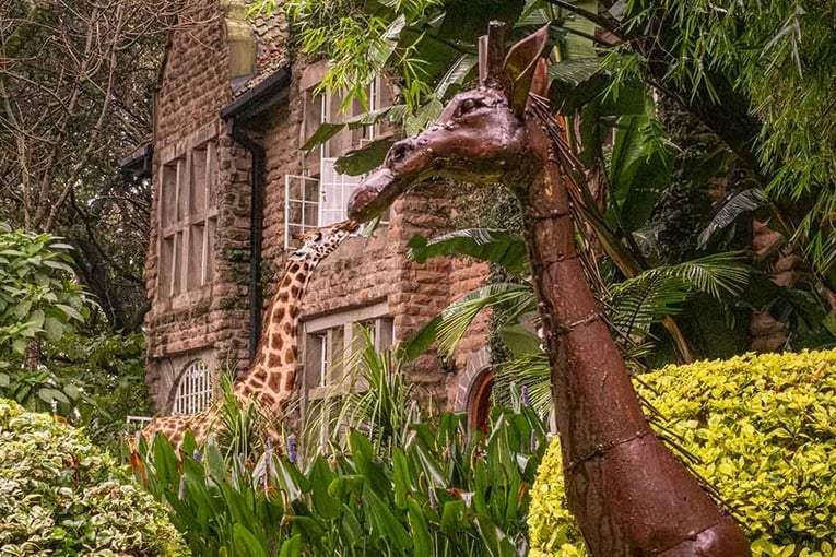 Giraffe Manor Hotel, Keňa – Nairobi | Exclusive Tours Good-Morning-The-Safari-Collection-at-Giraffe-Manor