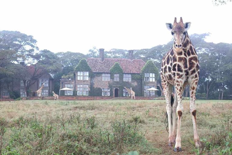 Giraffe Manor Hotel, Keňa – Nairobi | Exclusive Tours Roming-the-Grounds-The-Safari-Collection