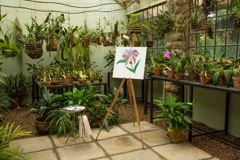 Giraffe Manor Hotel, Keňa – Nairobi | Exclusive Tours artintheorchidhouse