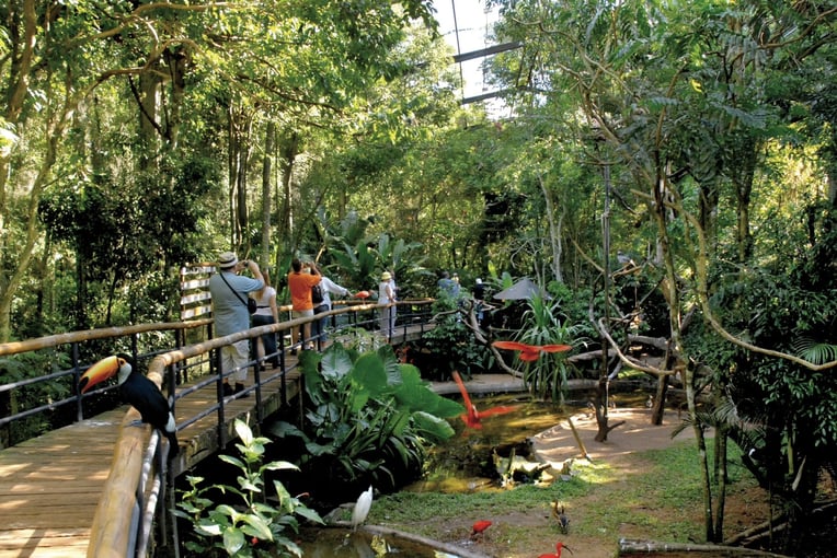 Hotel das Cataratas, A Belmond Hotel cat-lei-activity-bird-park01