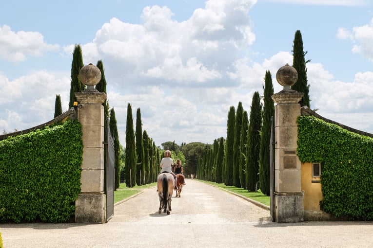 Il Borro Relais & Châteaux horses_2_res
