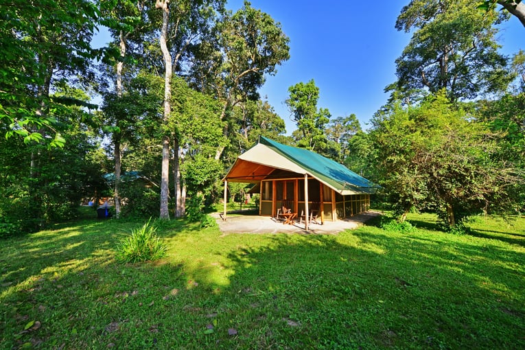 Ishasha Wilderness Camp, Uganda – Queen Elizabeth National Park | Exclusive Tours ishasha-wilderness-camp -Apr-01-2025-10-16-42-9887-AM