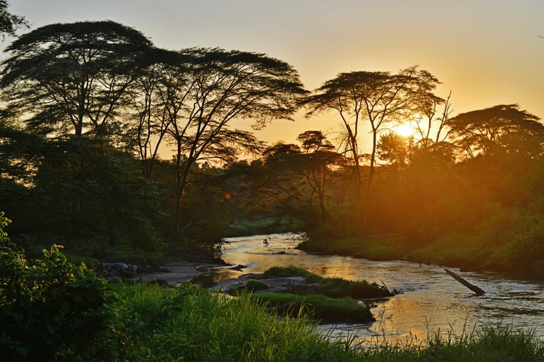 Ishasha Wilderness Camp, Uganda – Queen Elizabeth National Park | Exclusive Tours ishasha-wilderness-camp 