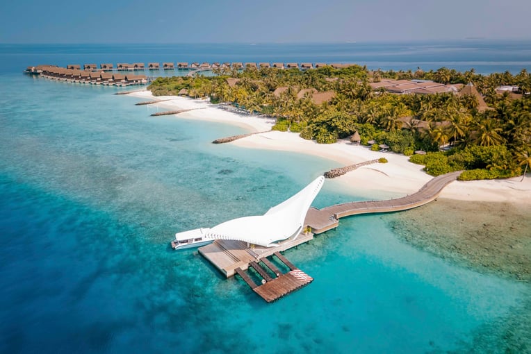 JOALI BEING - Gate of Zero - Top View