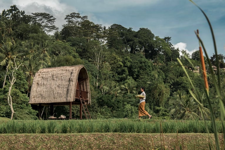 Mandapa, A Ritz Carlton Reserve 50583178-Lumbung (rice barn)