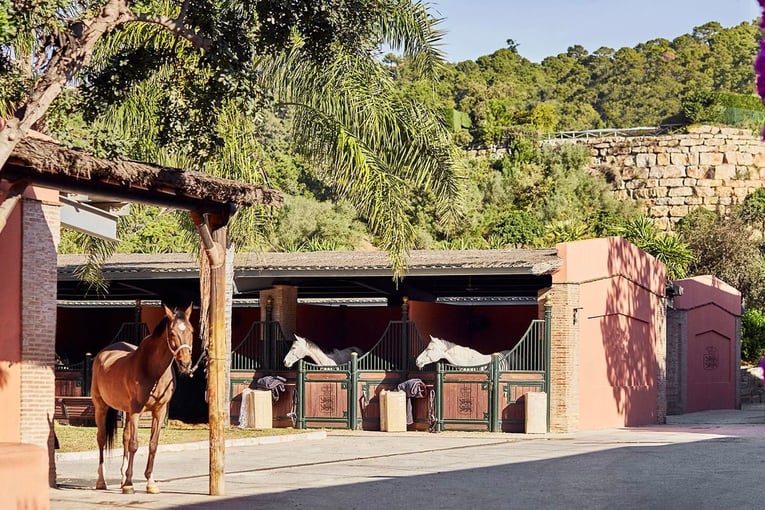 Marbella Club EXPLORE xxxx-mch-mar-203091-opt_standard