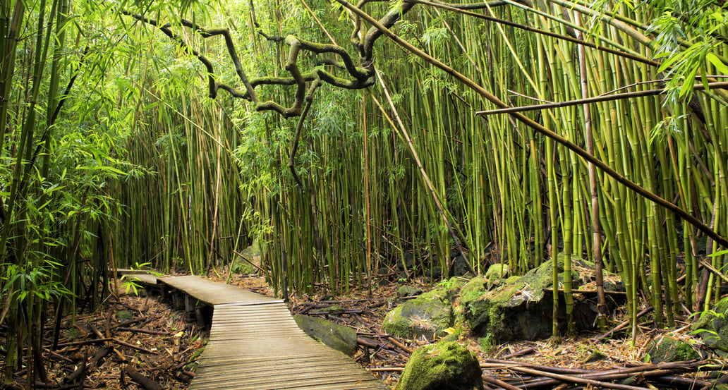 Maui Národní park Haleakala Havaj  shutterstock_250964704