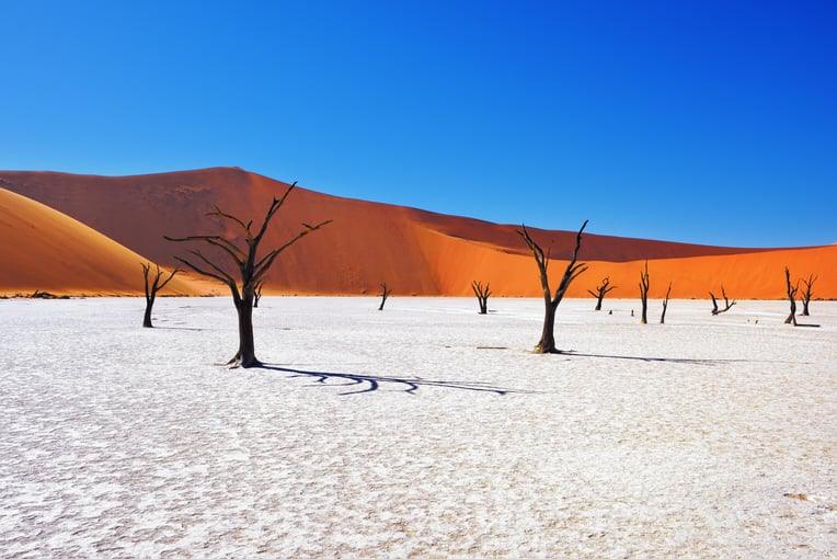 Namibie shutterstock_448819990