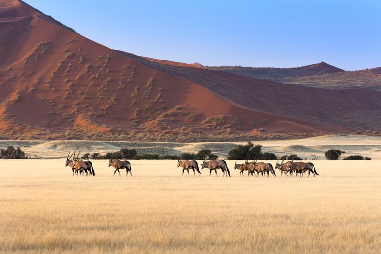 Namibie shutterstock_451121287