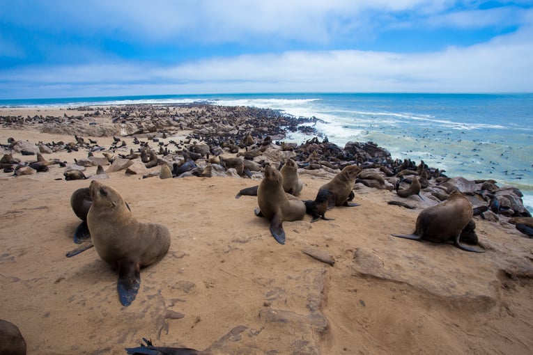 Namibie shutterstock_616579259