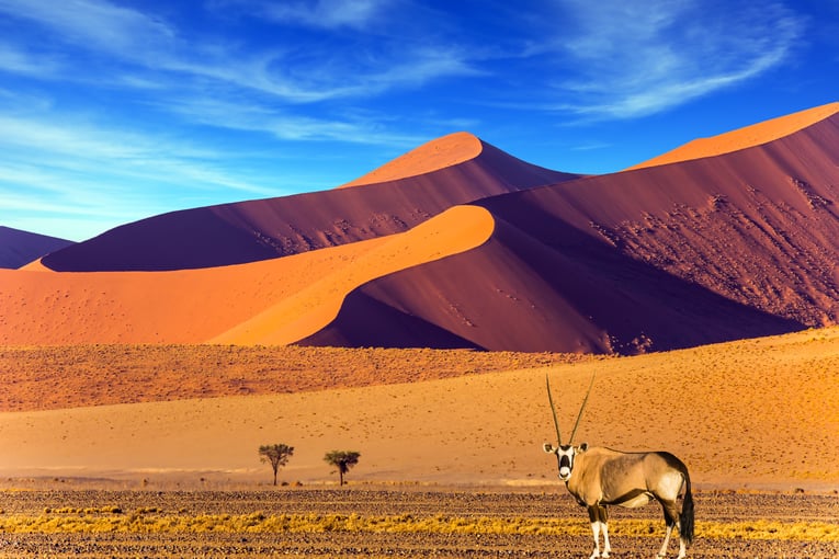 Namibie shutterstock_754071406