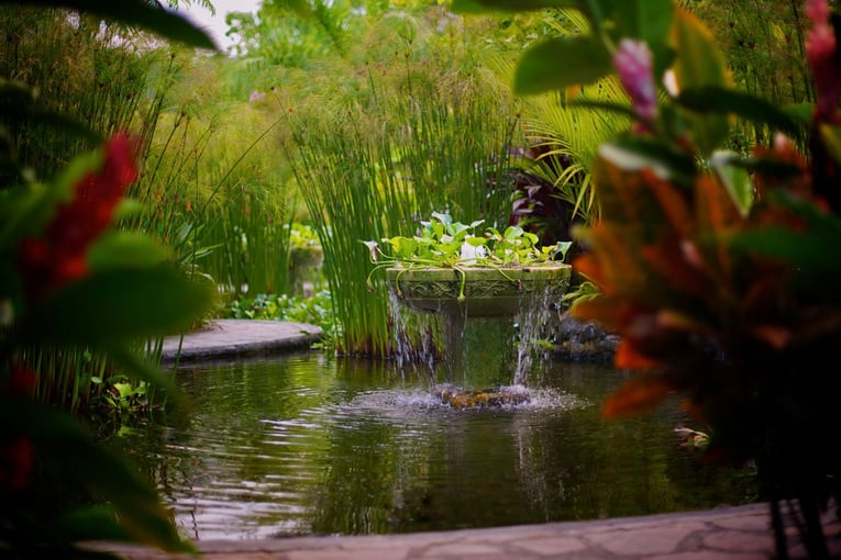 Nayara Hotel Spa & Gardens Resort-NG-04