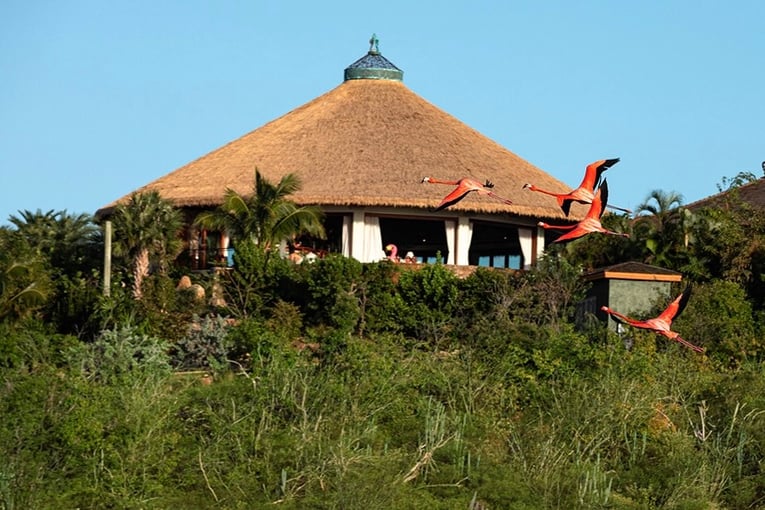 Necker Island necker-island-elders-temple-flamingos-q90