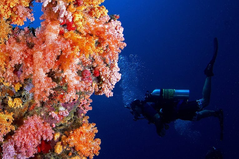 Niyama Private Islands Maldives niyama_maldives_diving_1_1920x1037