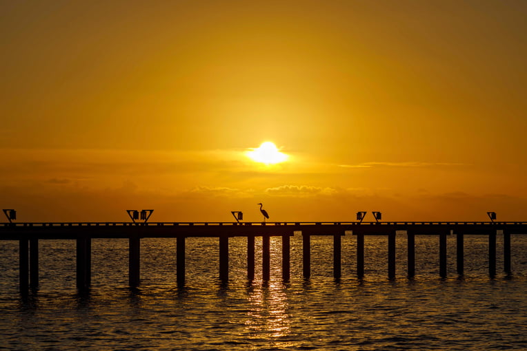 OZEN RESERVE BOLIFUSHI - Jetty Sunset with Heron 1