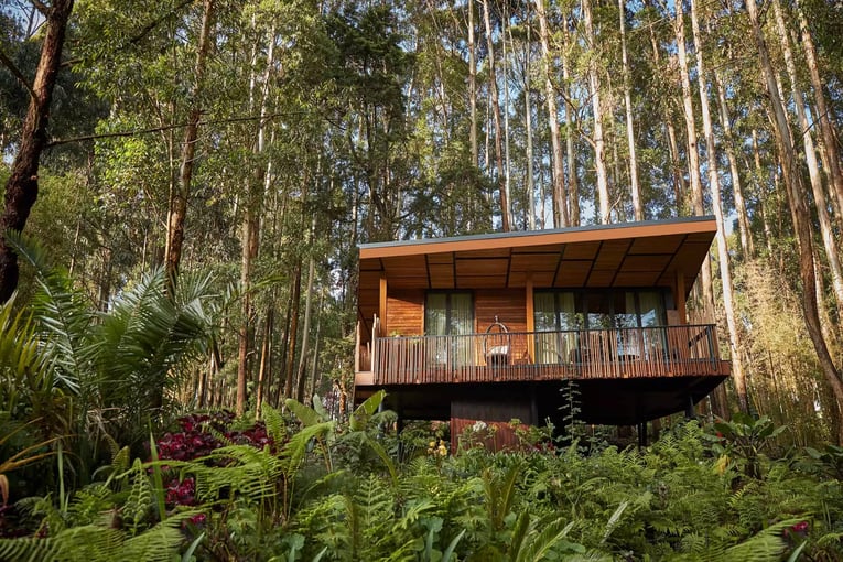 One&Only Gorillas Nest oogn-exteriors-villa-3