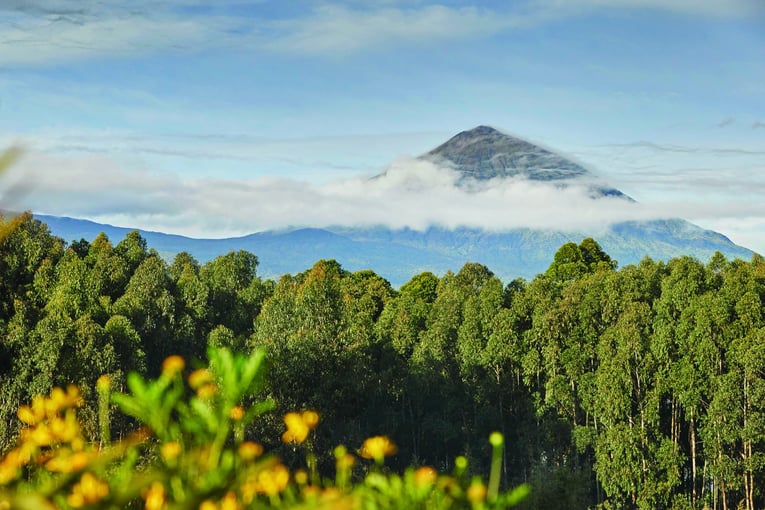 One&Only Gorillas Nest oogn-volcanoes-view-day-1