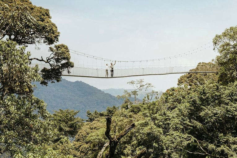 One&Only Nyungwe House oonh-lifestyle-canopy-walk-4-portrait