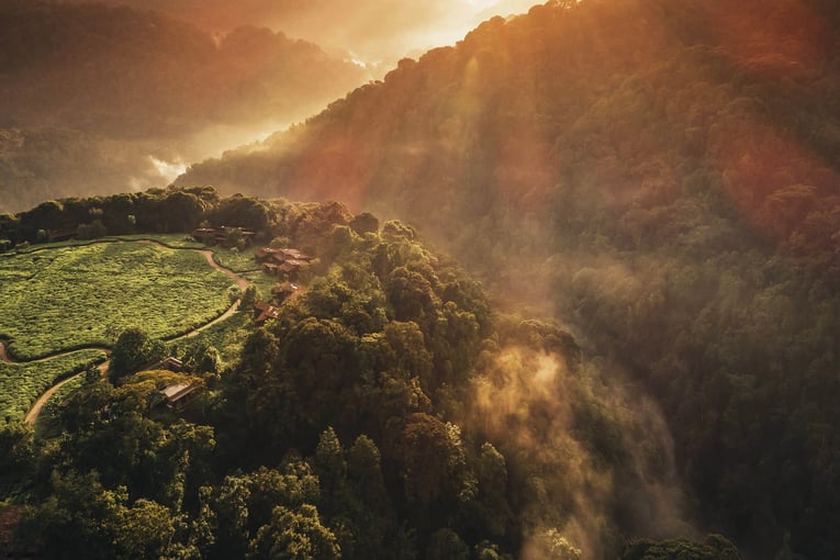 One&Only Nyungwe House oonh-resort-view-drone-9