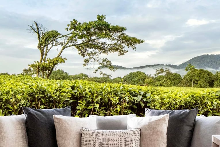 One&Only Nyungwe House oonh-wellness-spa-reception-window-1-portrait