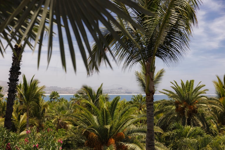 One&Only Palmilla, Mexiko – San José del Cabo | Exclusive Tours OO_Palmilla_Garden_Details_3093_MASTER