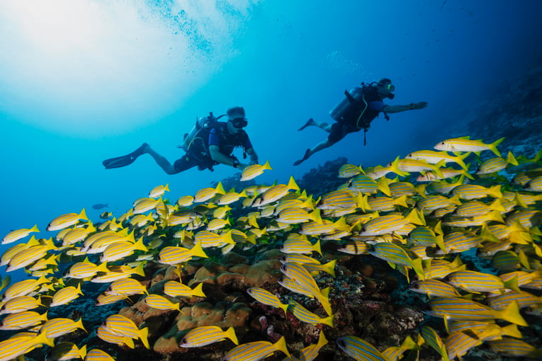 One&Only Reethi Rah OO_RR_Diving__45A3599_MASTER