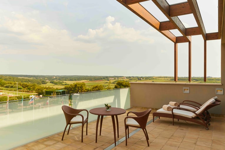 PUY1_Junior suite park view terrace