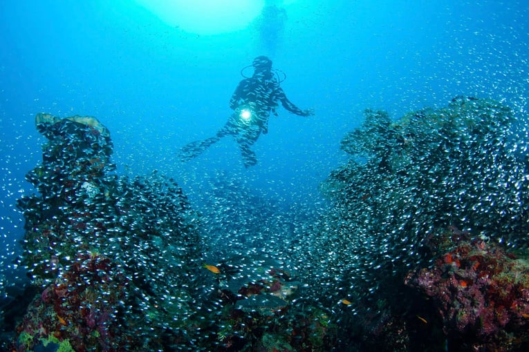 Park Hyatt Maldives Hadahaa Park-Hyatt-Maldives-Hadahaa-P076-Scuba-Diving.16x9