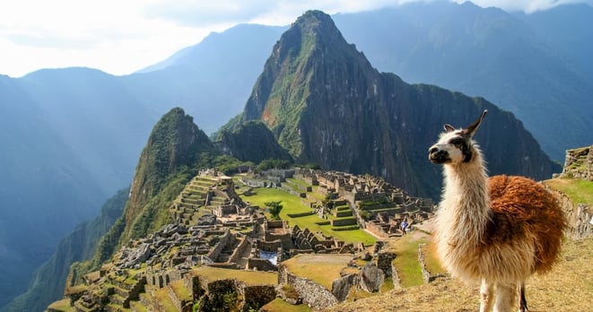 Peru, Machu Picchu, lama, hory