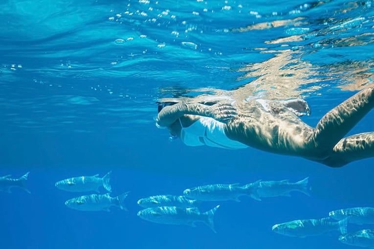 Raffles Seychelles RPS_Snorkeling