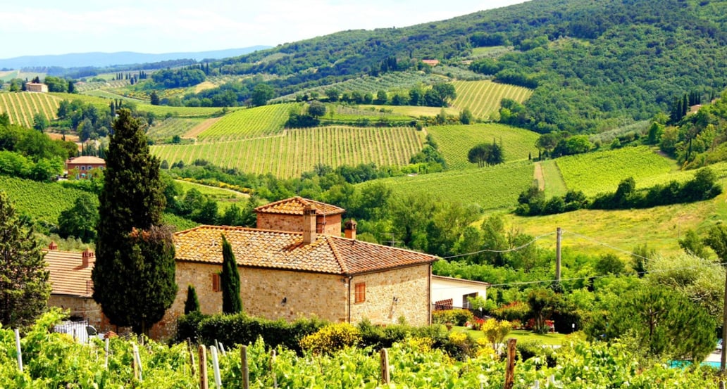Romantická procházka rozlehlými vinicemi toskansko1