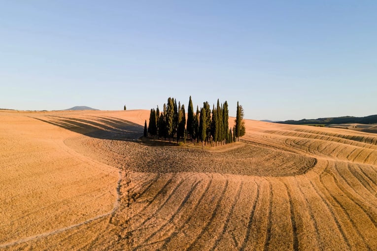 Rosewood Castiglion del Bosco, Itálie – Montalcino | Exclusive Tours rwcdb_destinationvaldorcia_cypress_2021_WIDE-LARGE-16-9