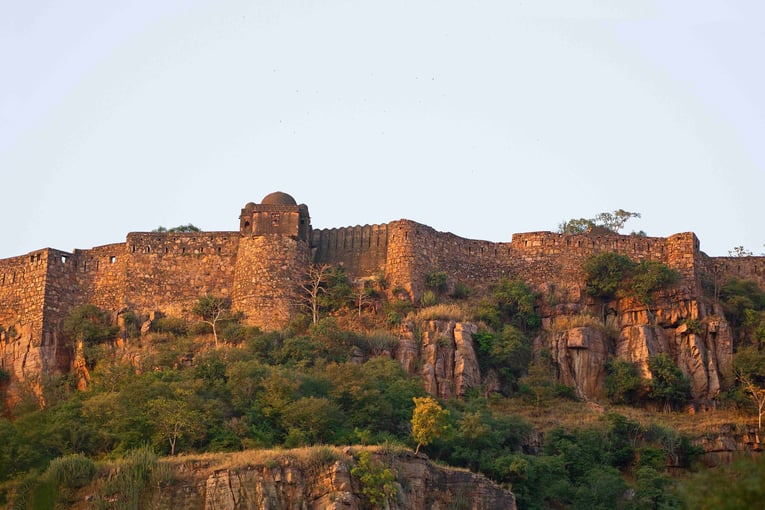 SUJÁN SHER BAGH, Ranthambhore ORIGINALYAA_9628 A