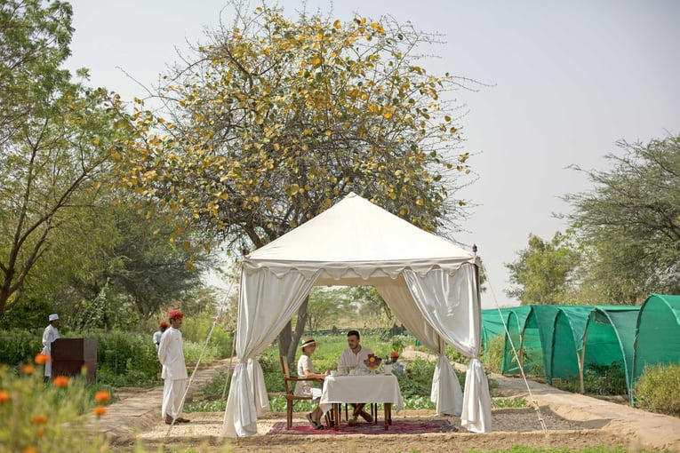 SUJÁN The Serai, Jaisalmer, Indie – Rajasthan _B8A9720 A