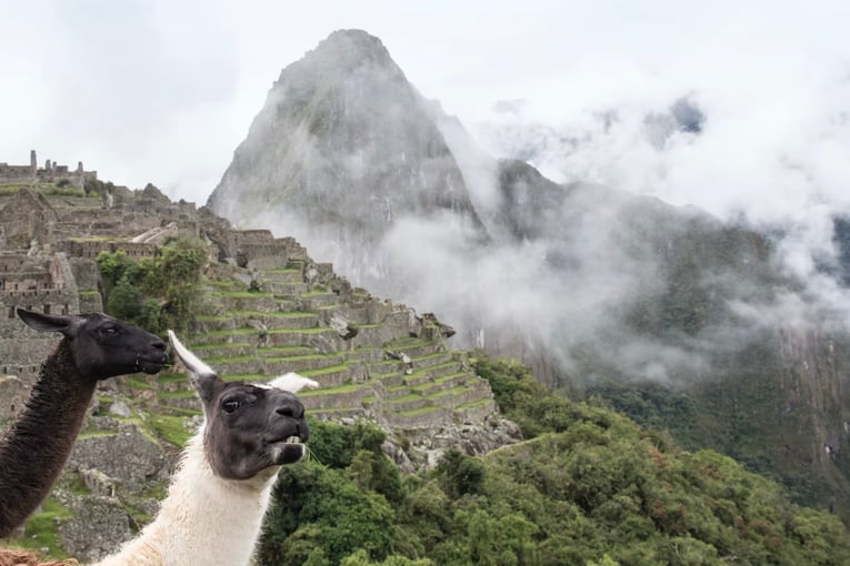 Sanctuary Lodge, A Belmond Hotel, Peru – Machu Picchu | Exclusive Tours des-south-america-peru-machu-picchu08